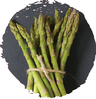 asparagus1.png