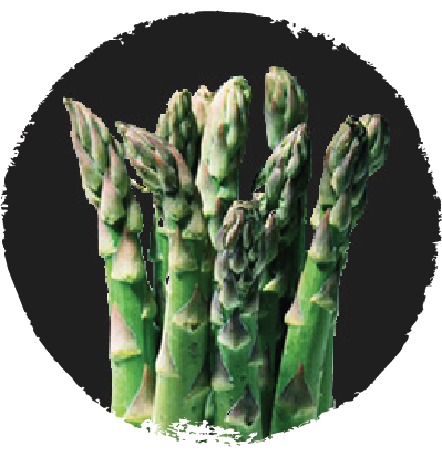 asparagus2.png