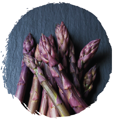 asparagus3.png
