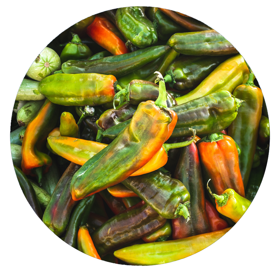 Fresh chillies and produce
