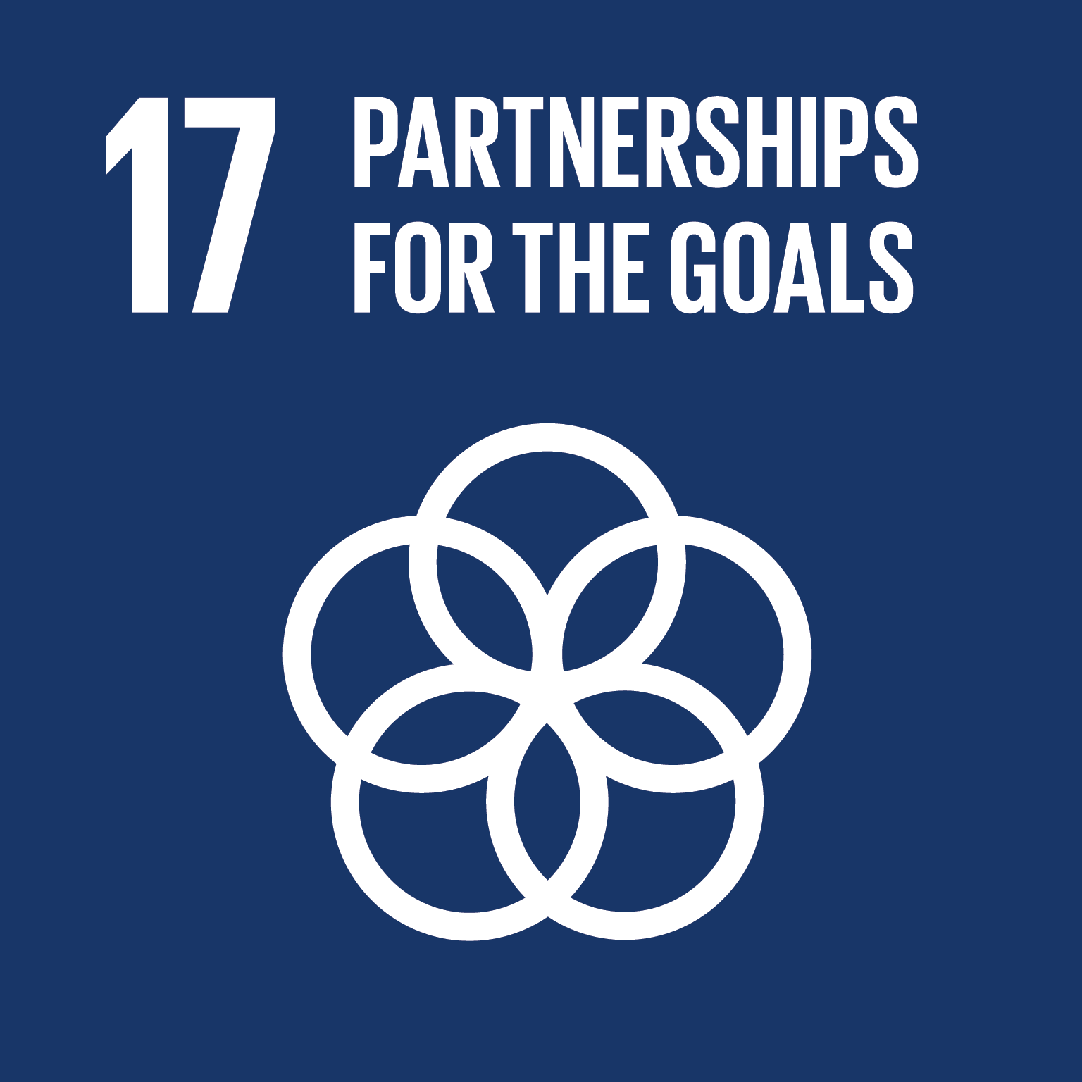 UN SDG 17