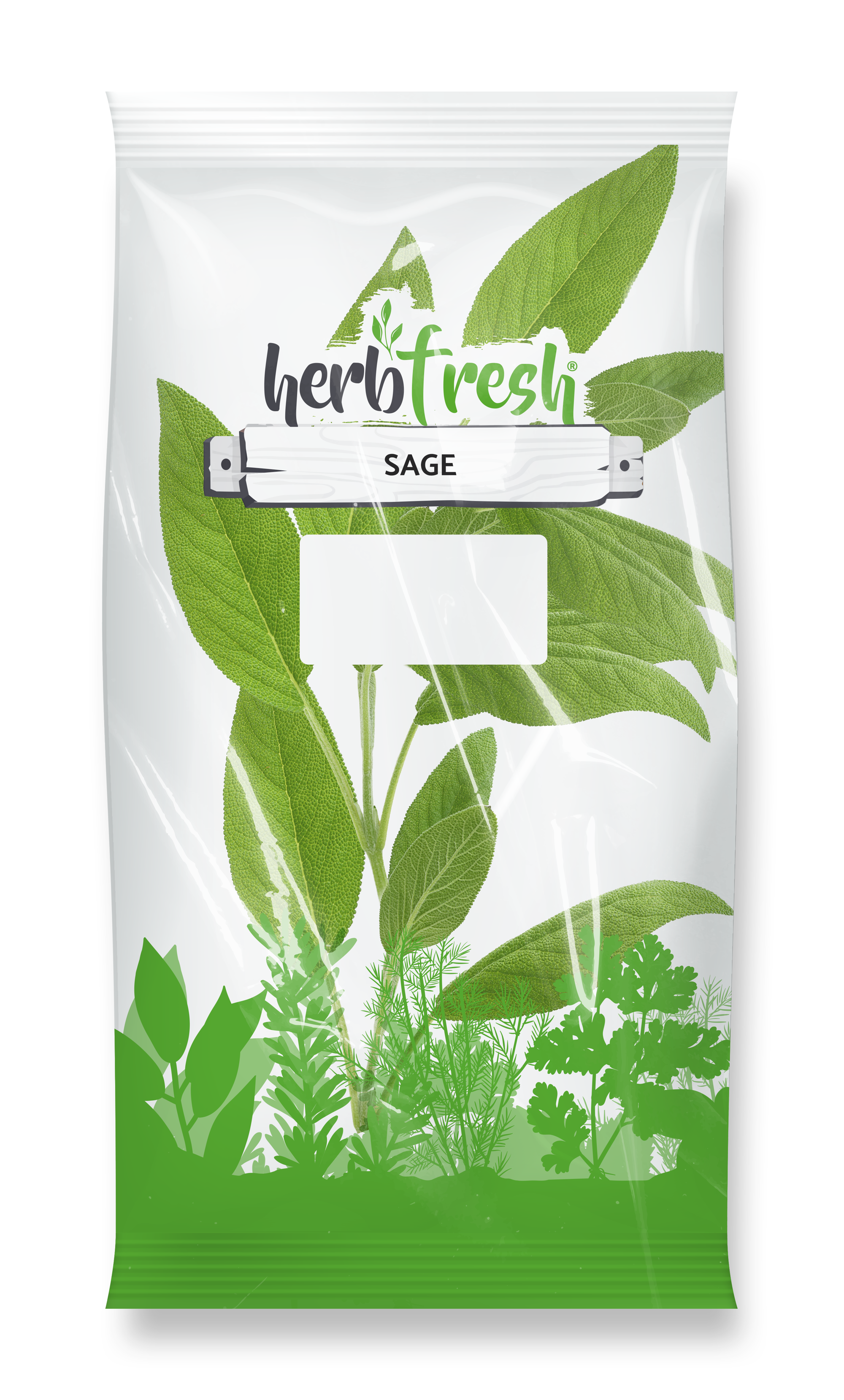 Sage