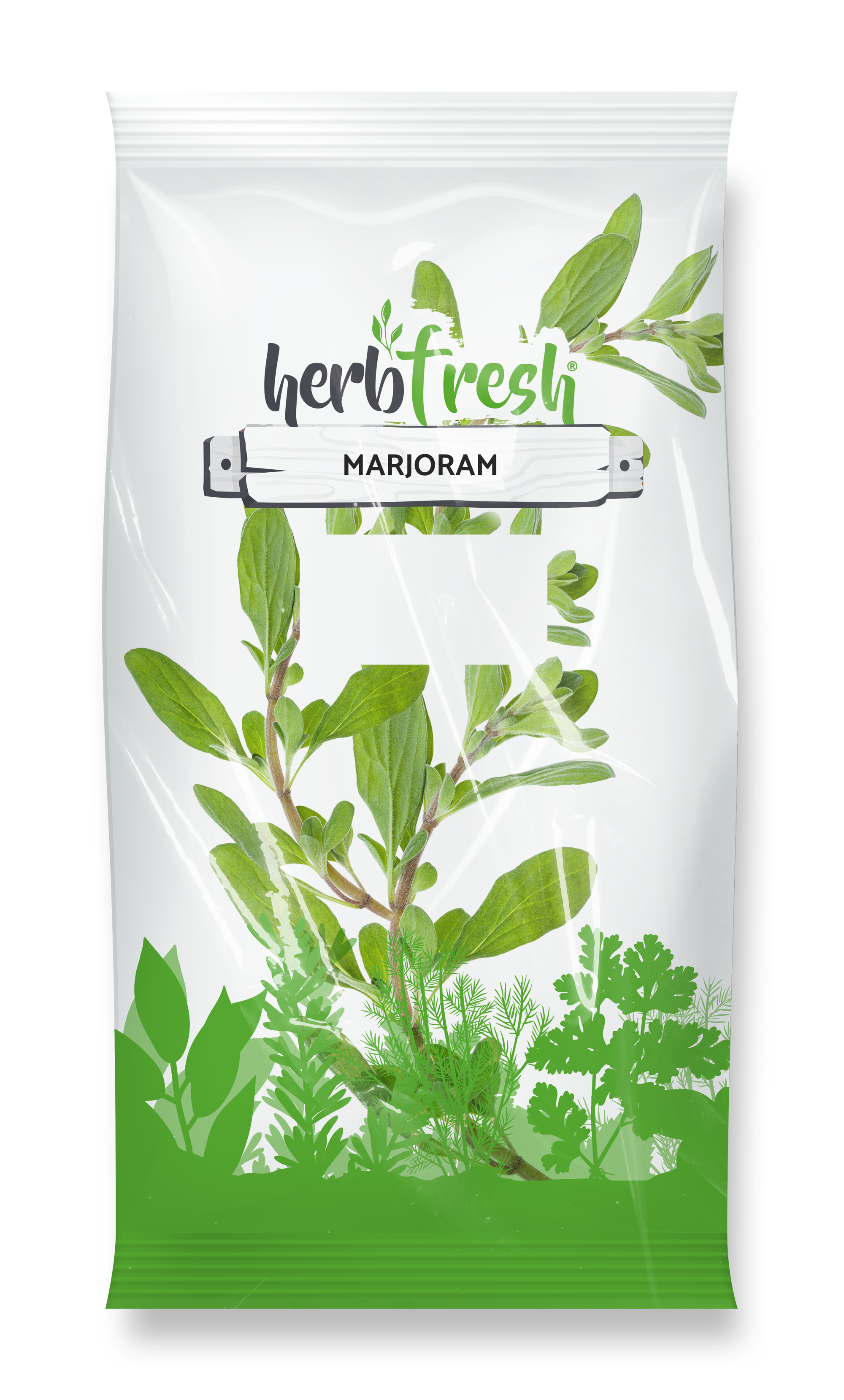 Marjoram
