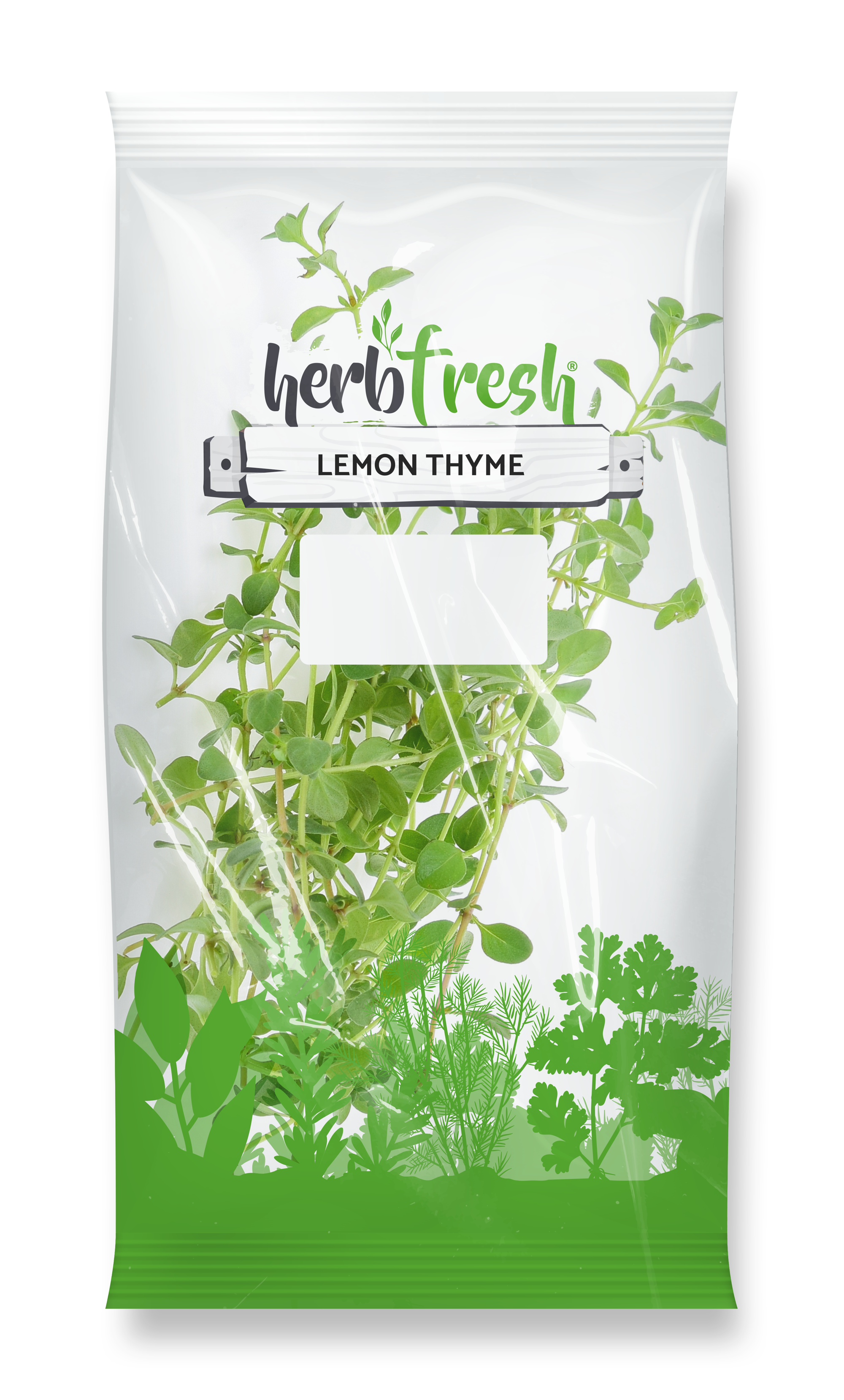 Lemon Thyme