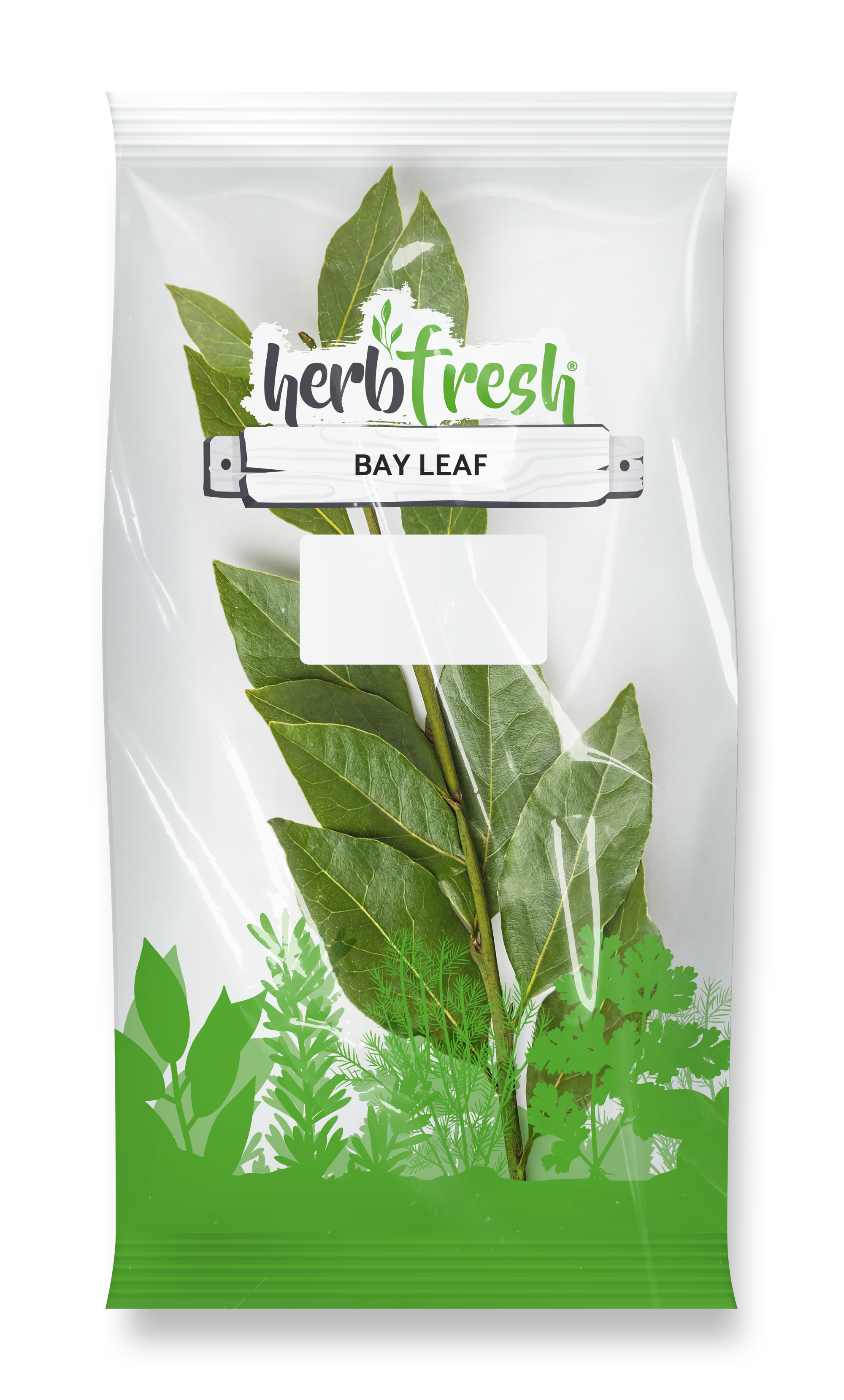 Bay Leaf