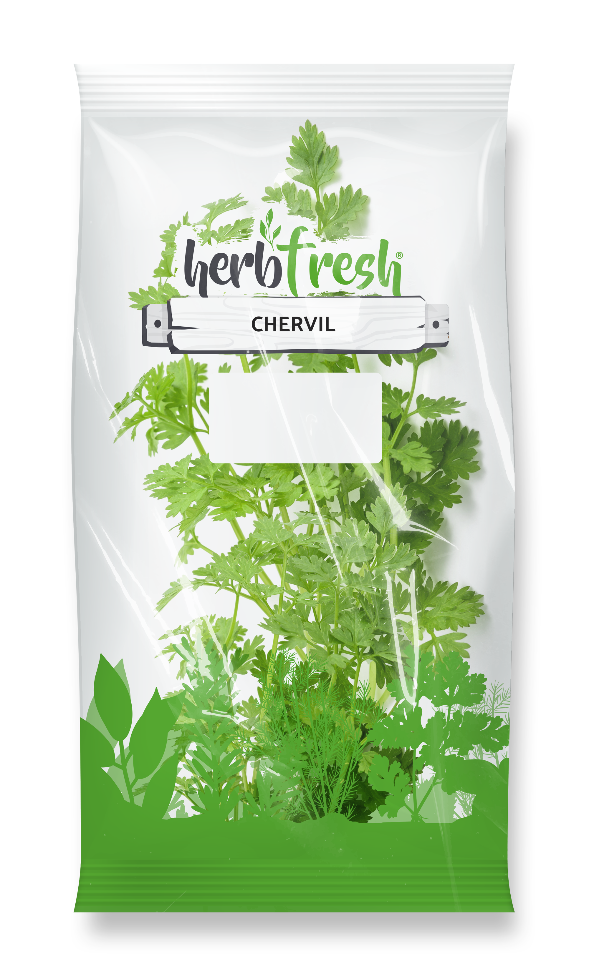 Chervil