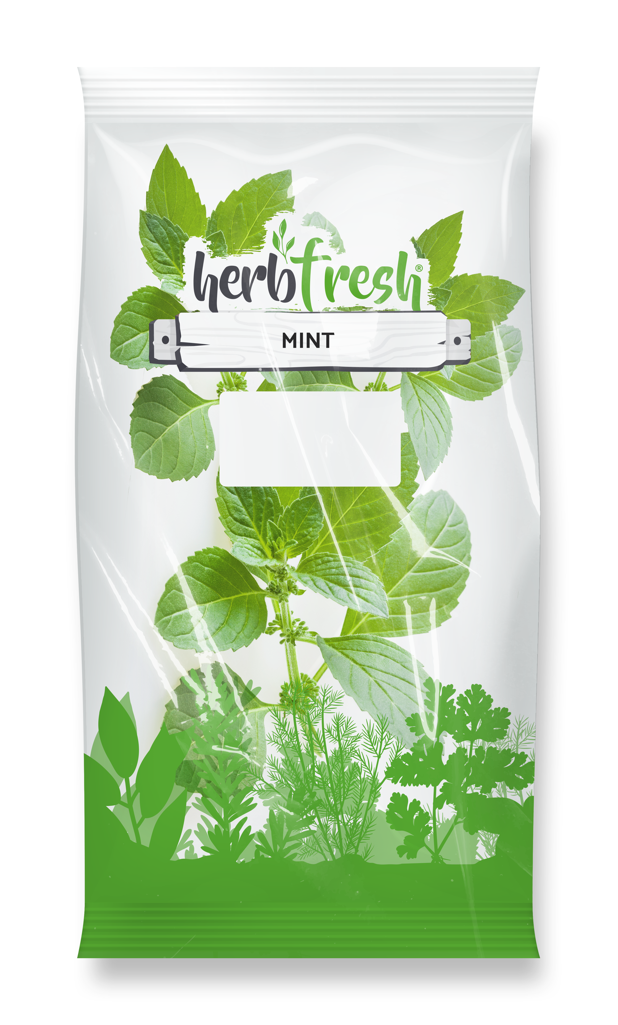 Mint