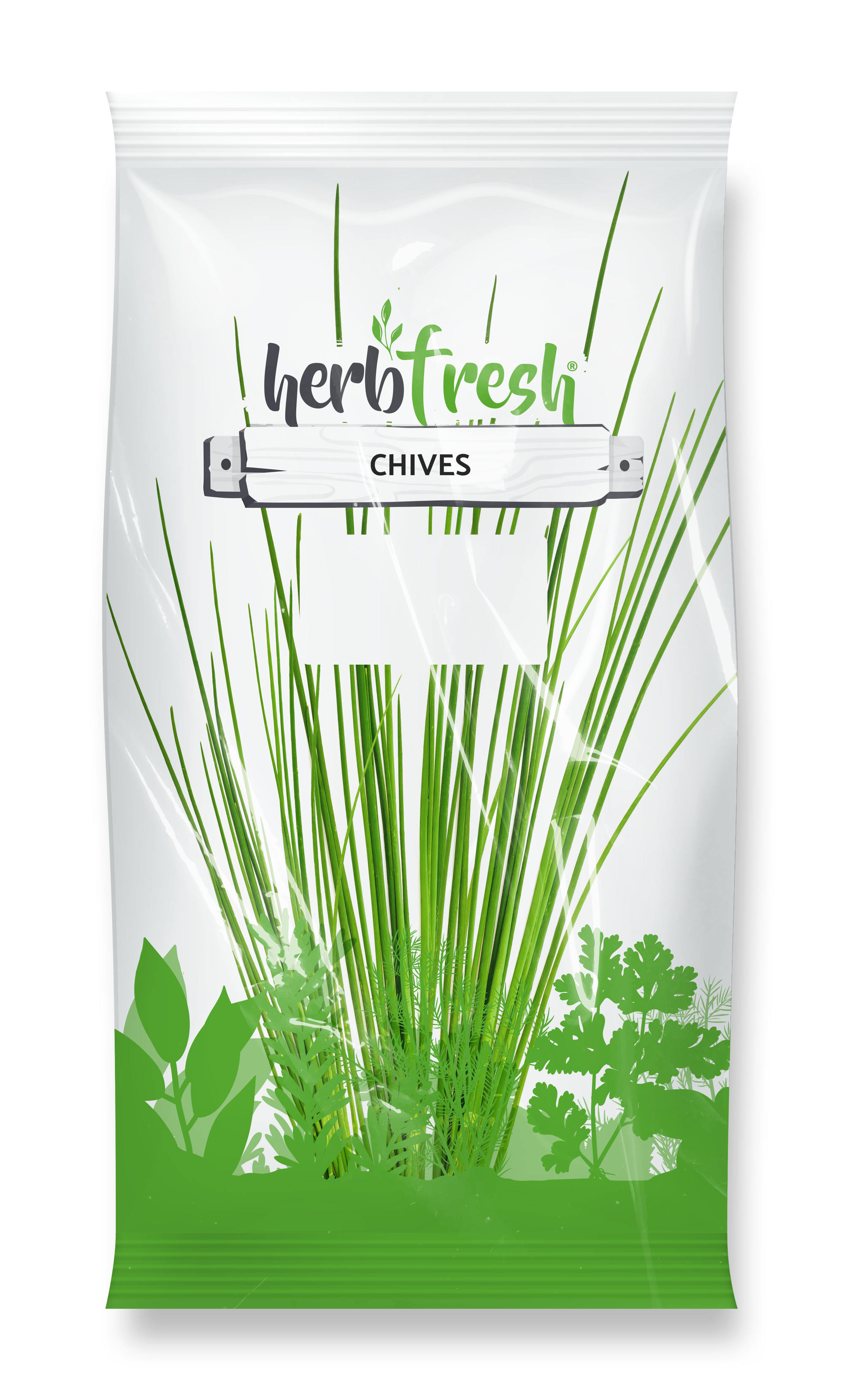 Chives