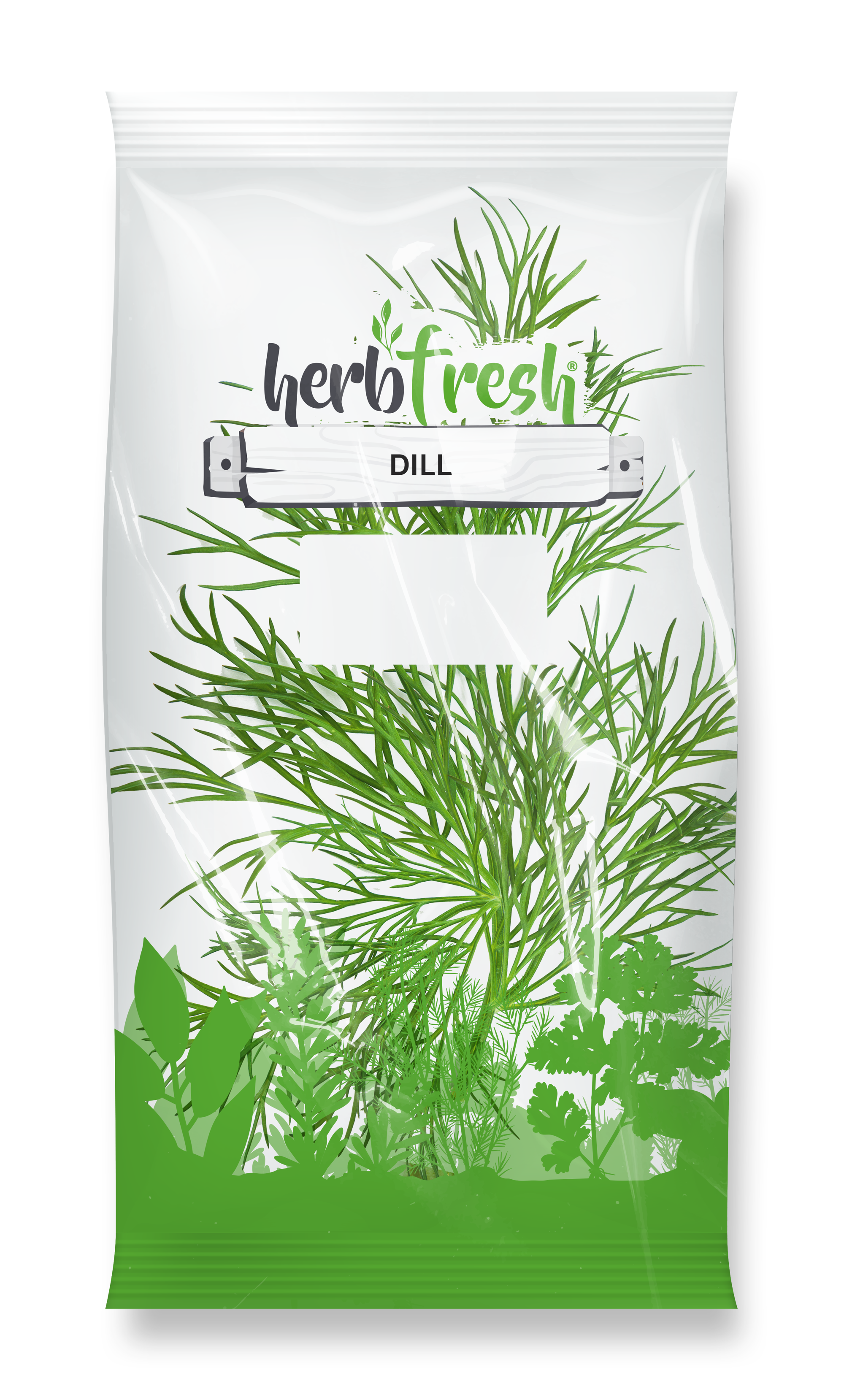 Dill