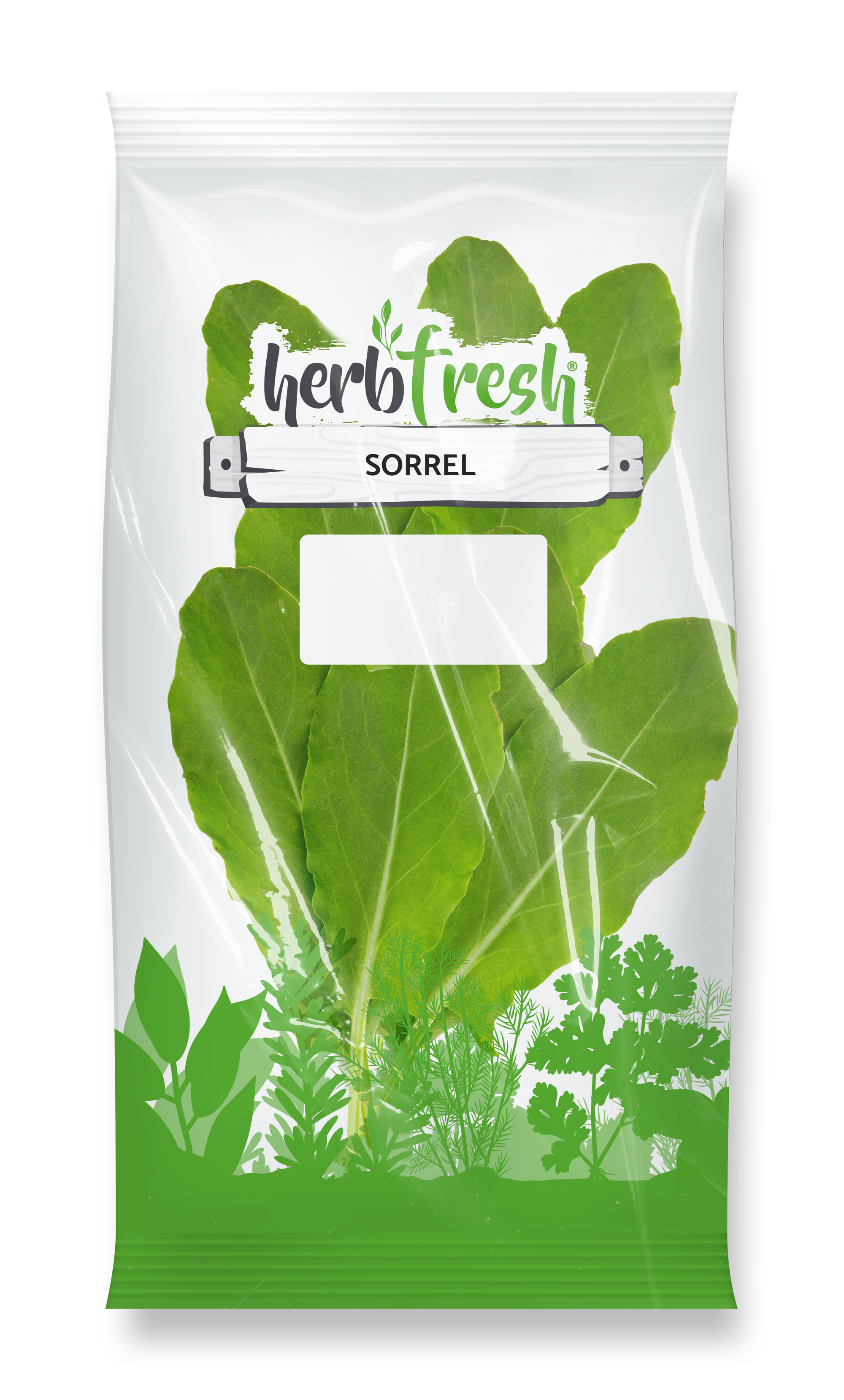 Sorrel