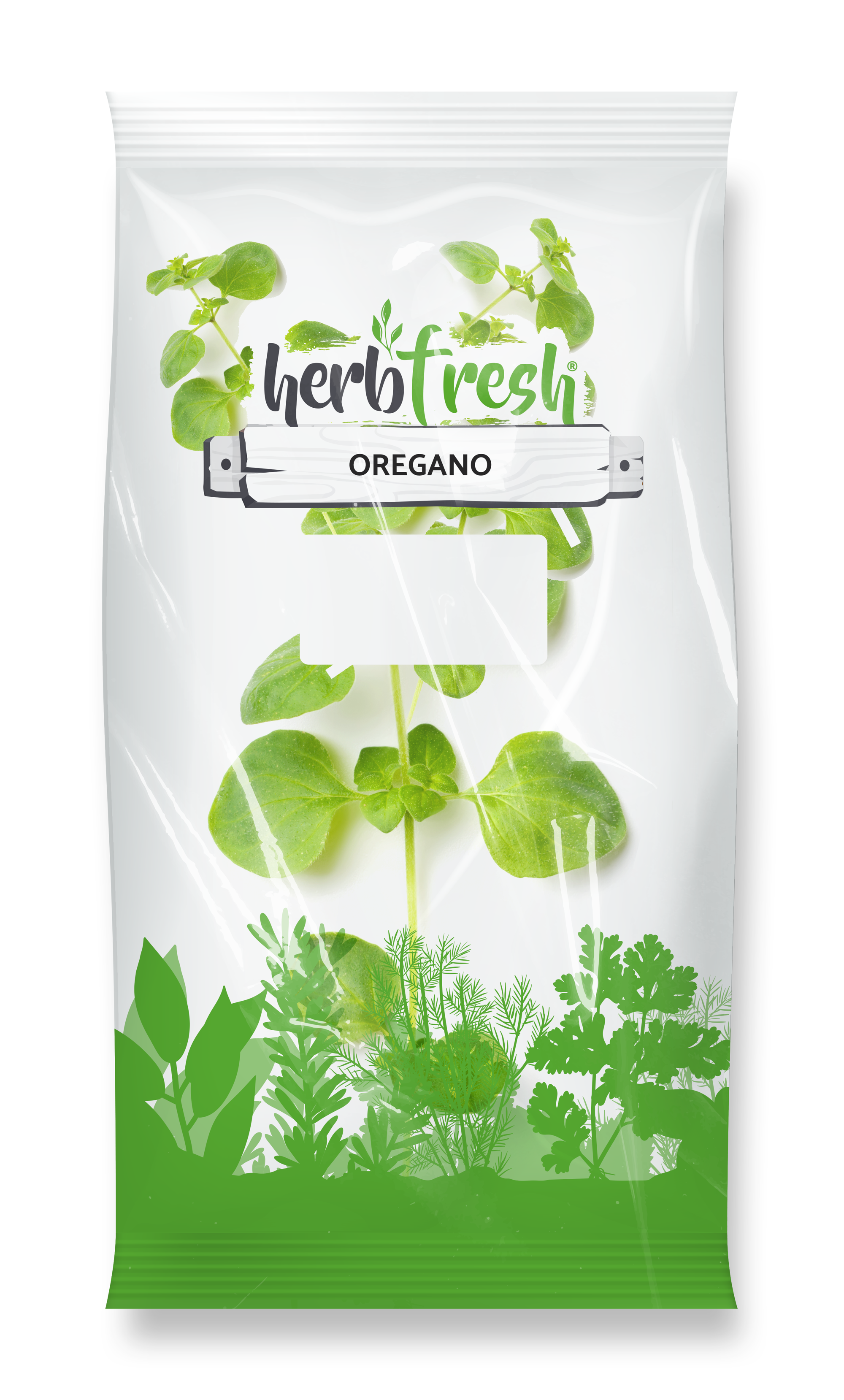 Oregano