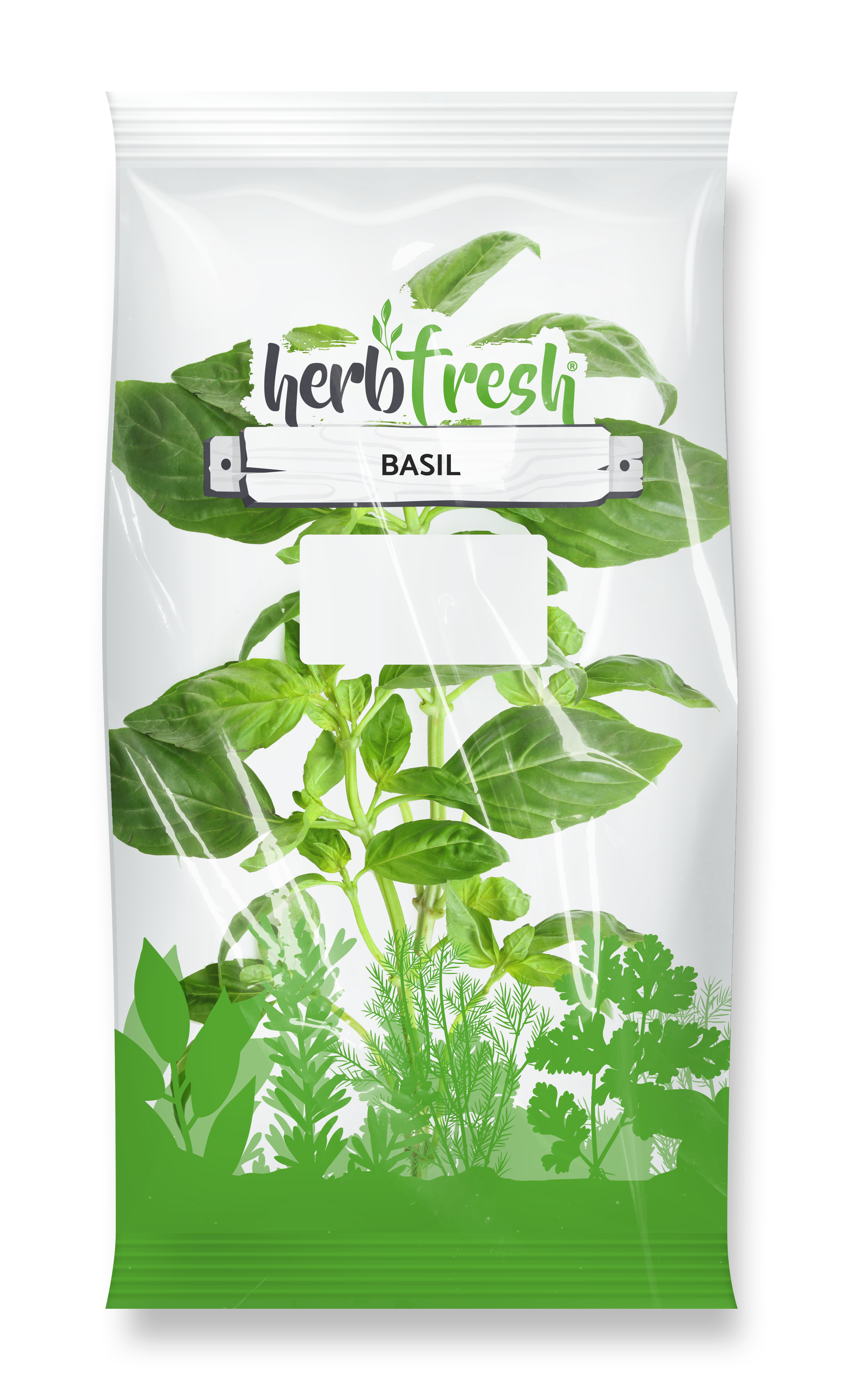 Basil