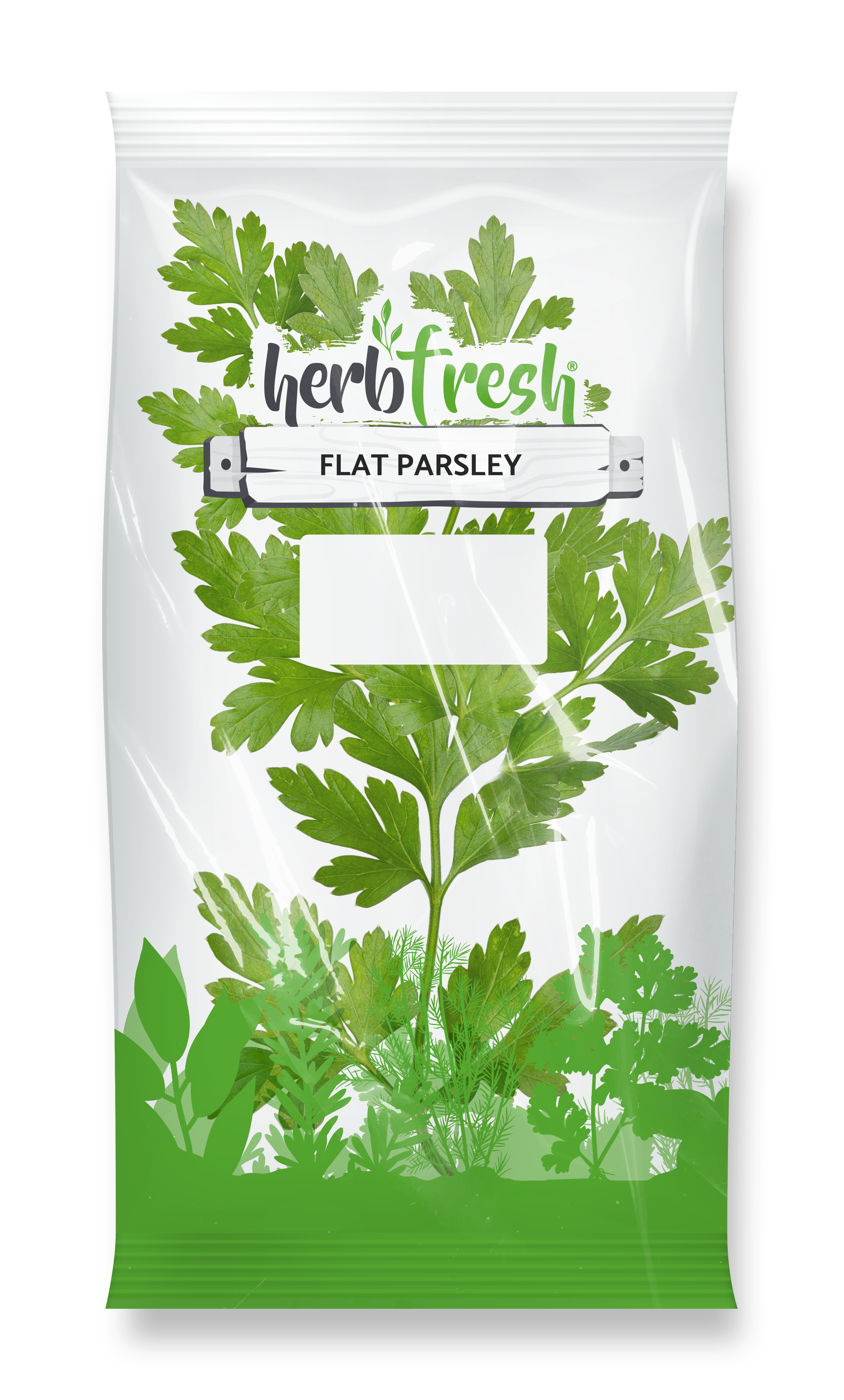 Flat Parsley