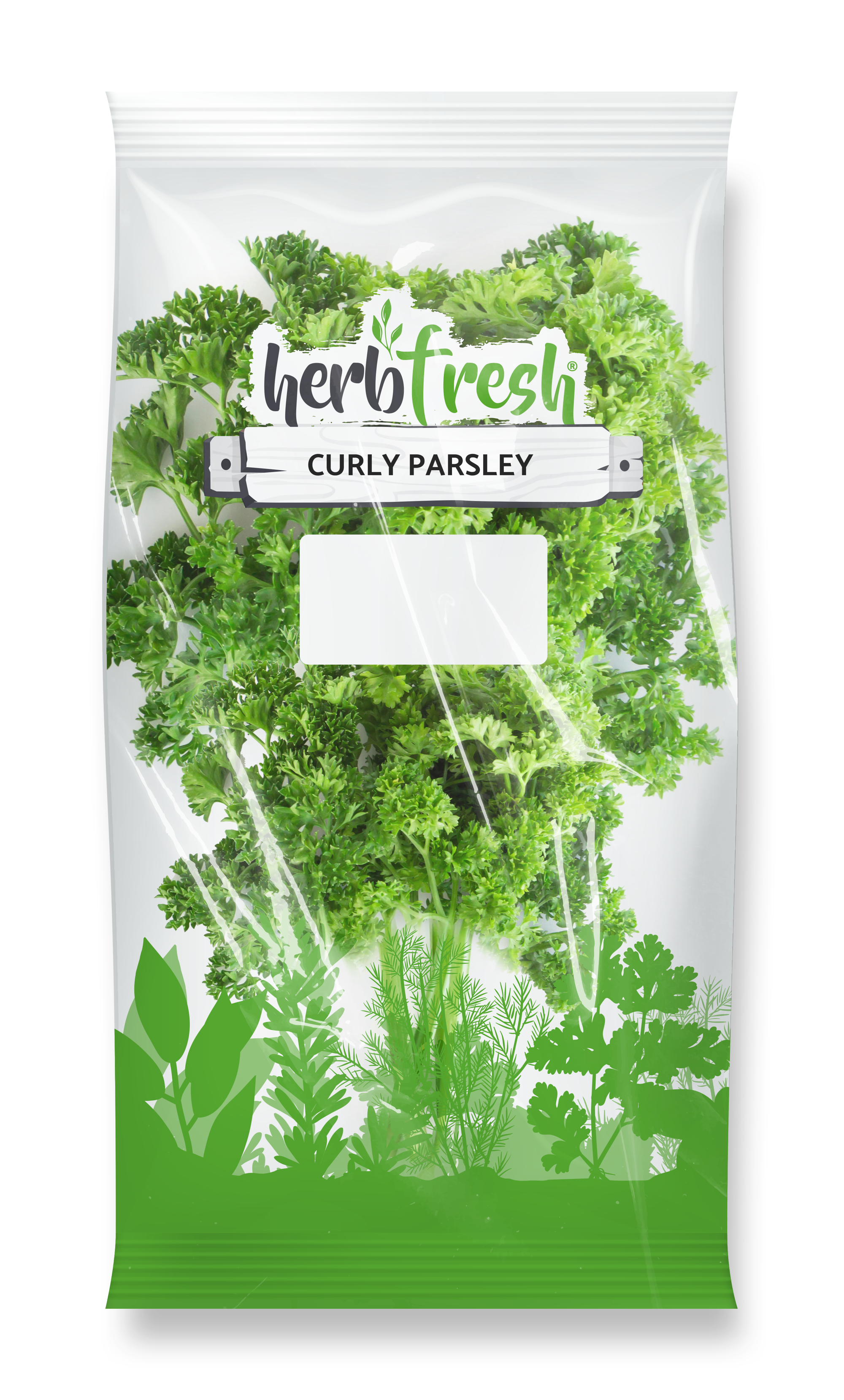 Curly Parsley