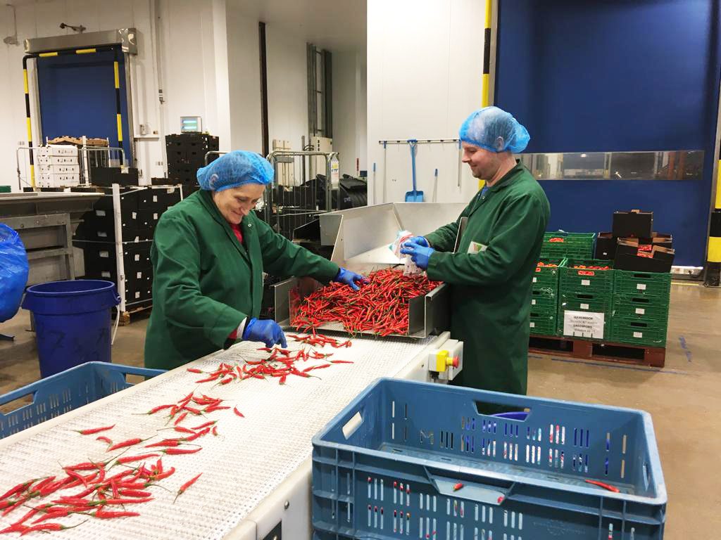 Wealmoor Coronavirus Update March 2020