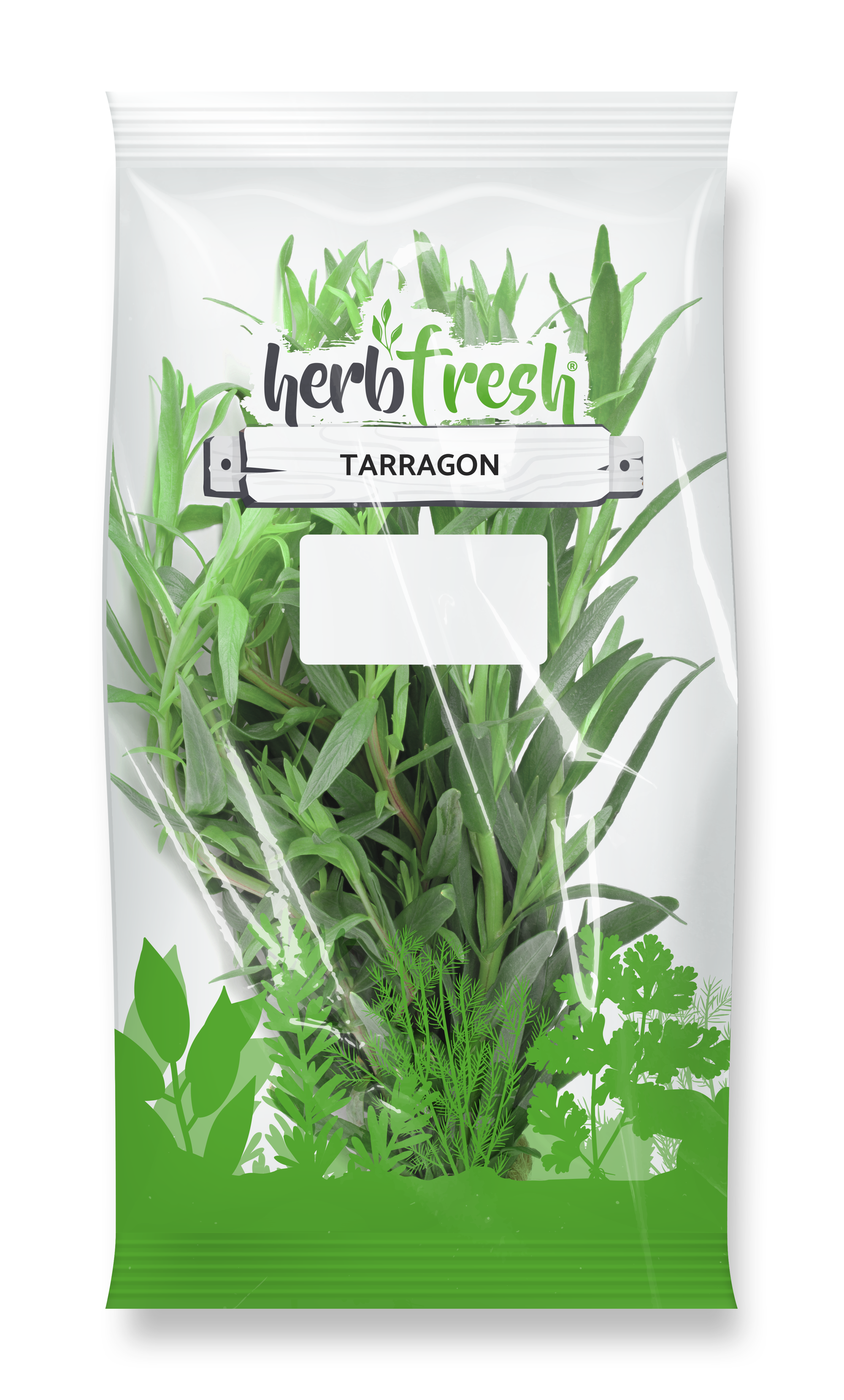 Tarragon