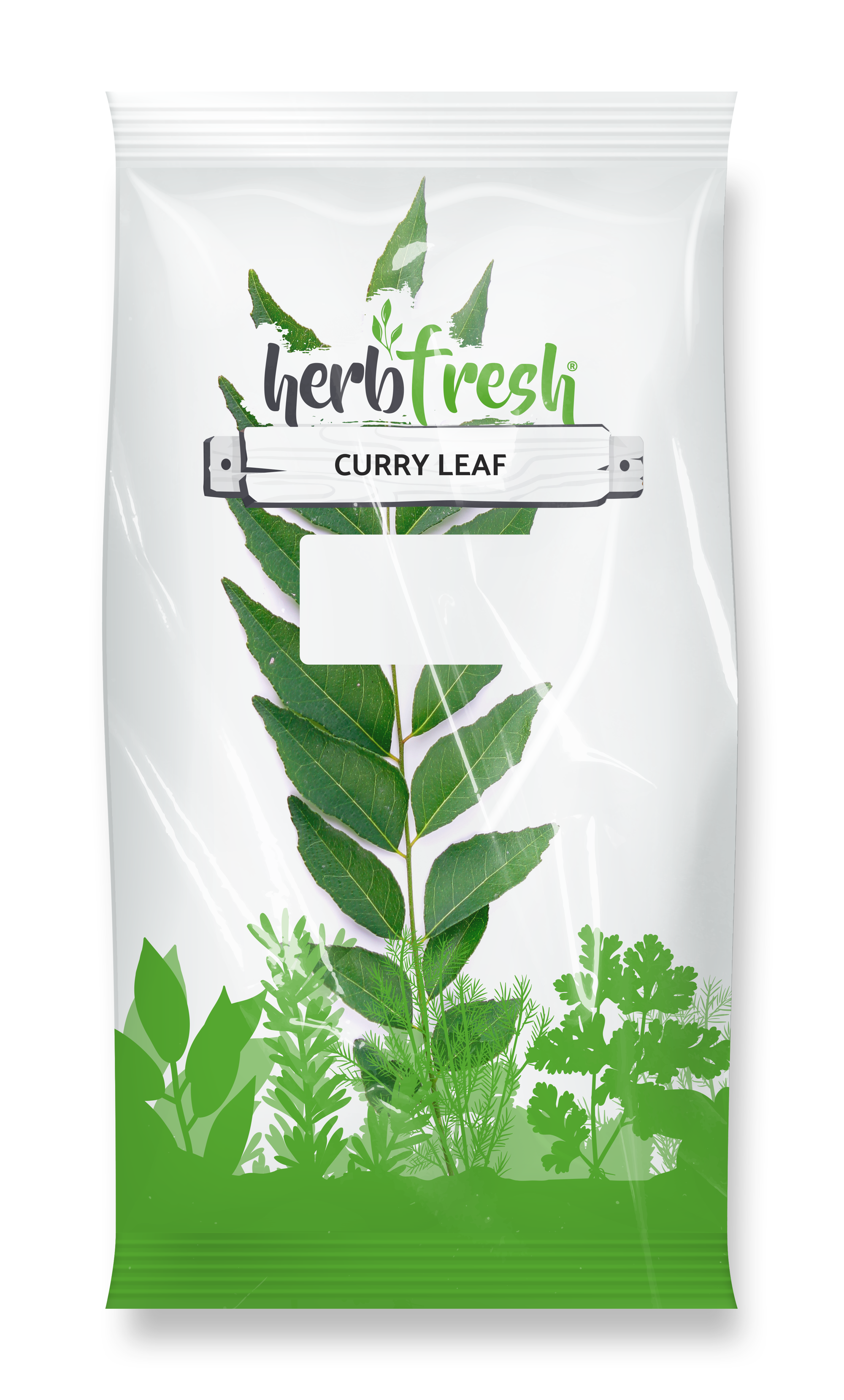 Curry Leaf