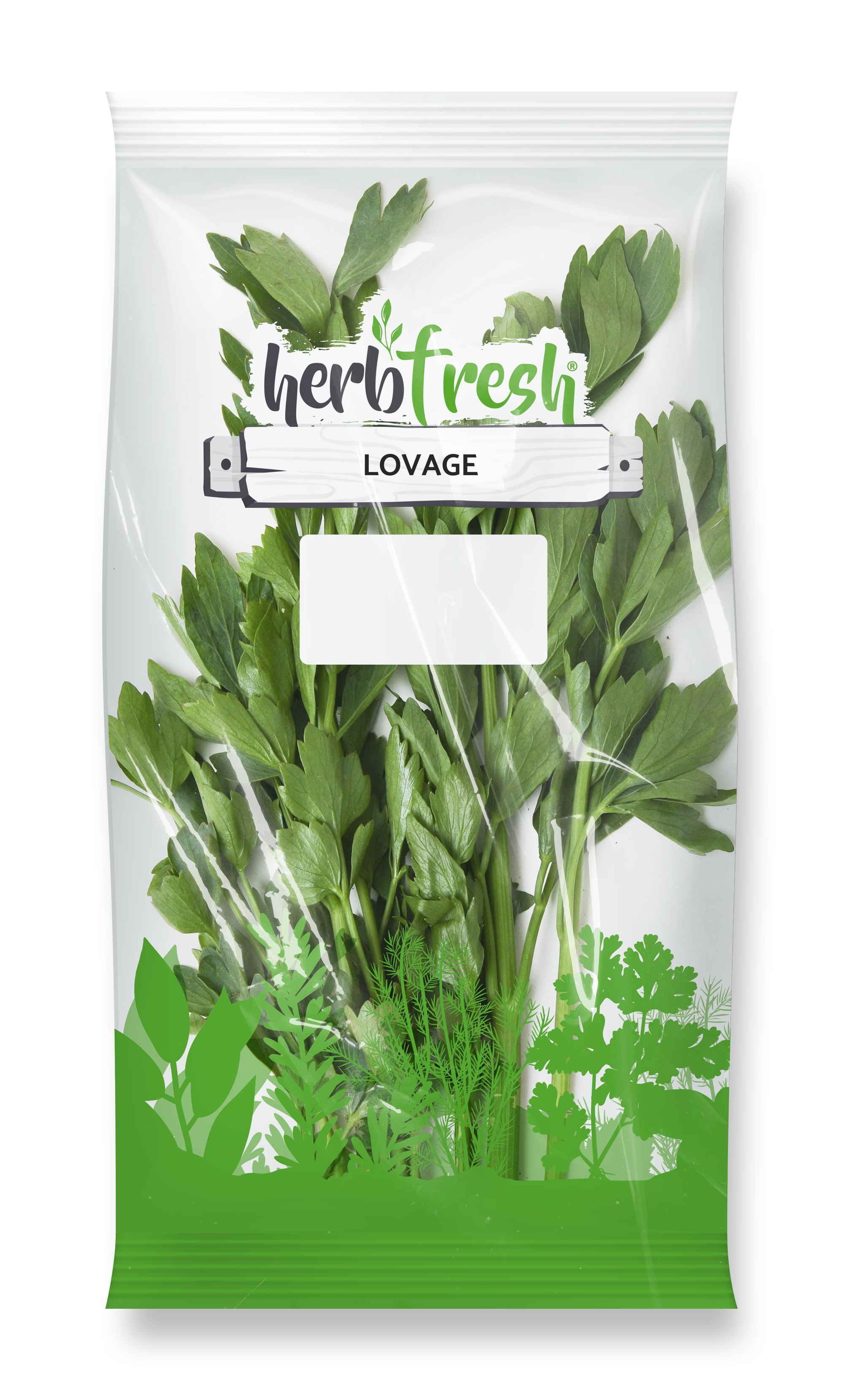 Lovage