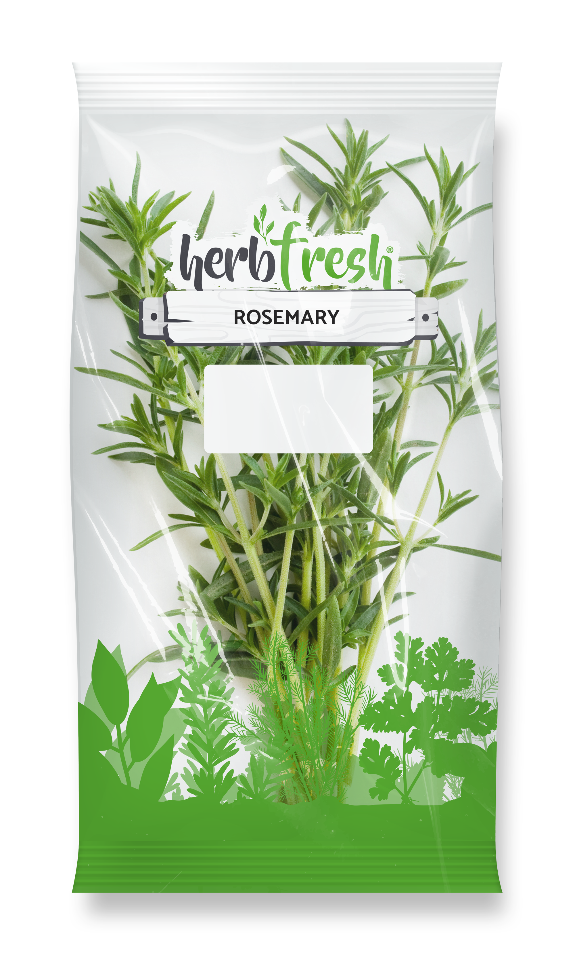 Rosemary