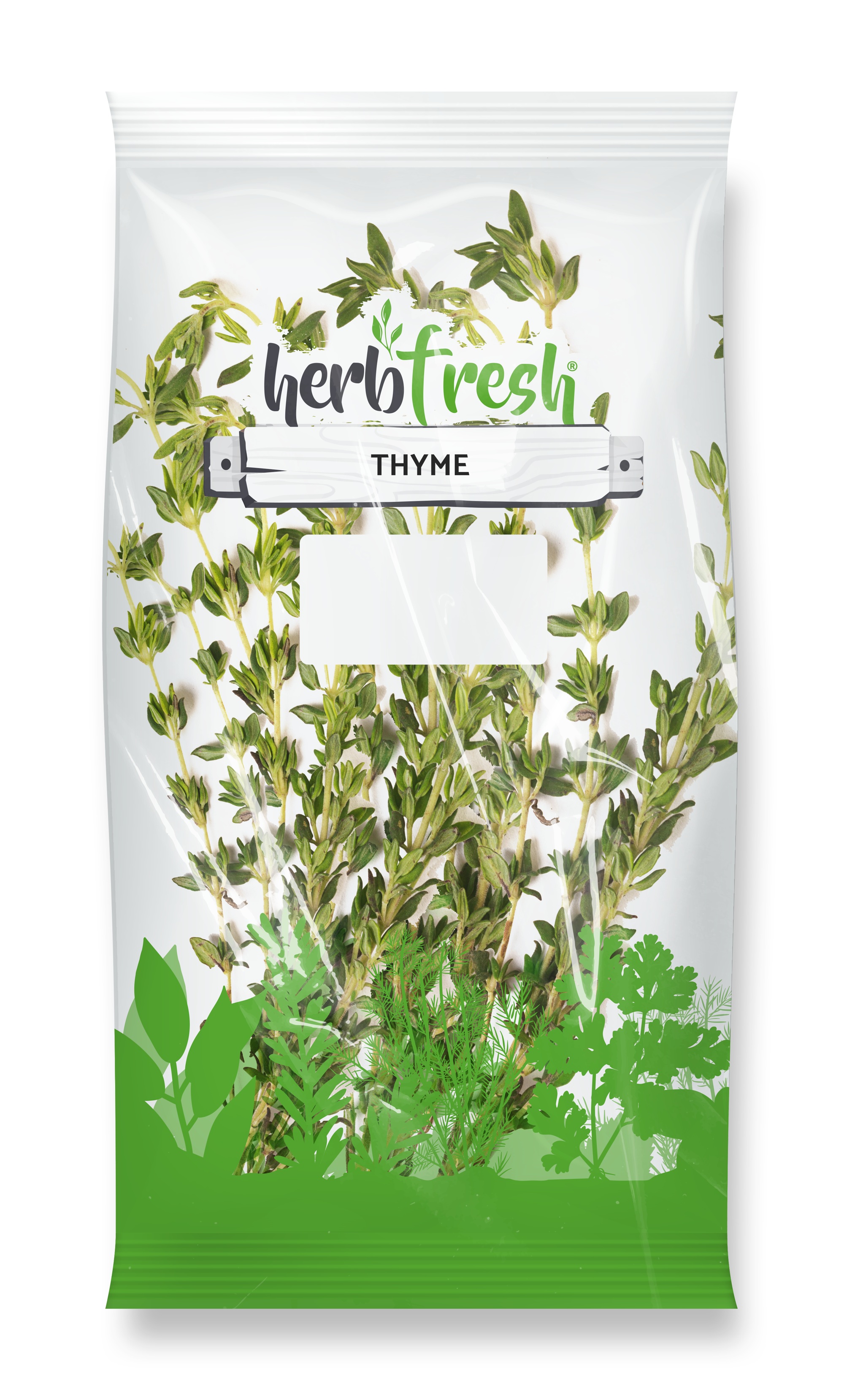 Thyme