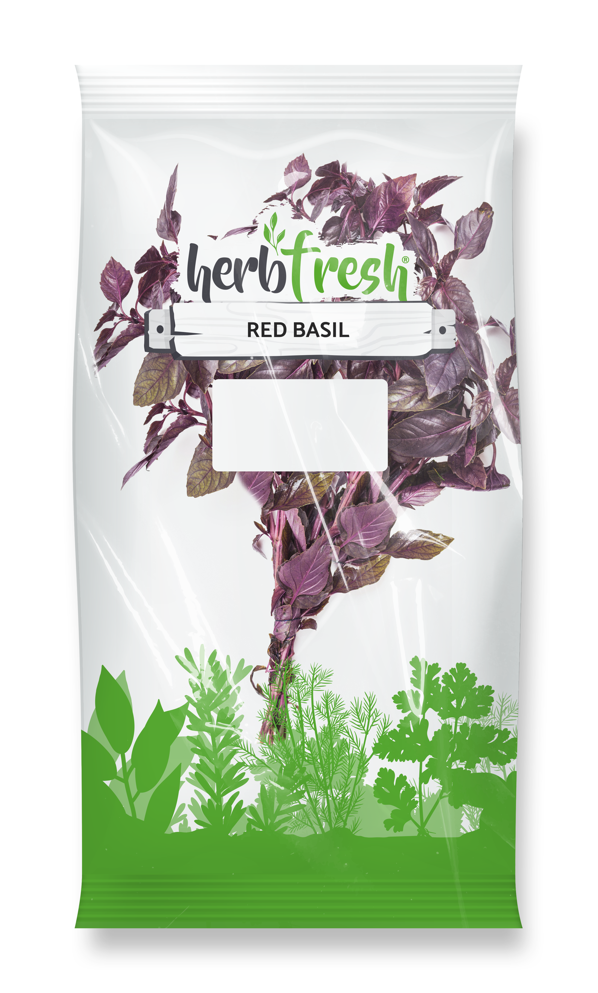 Red Basil