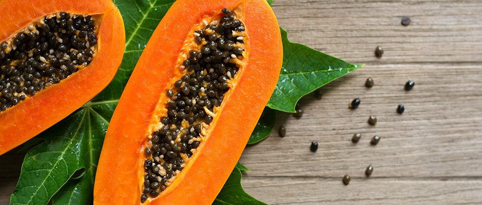 Papaya-Press-Release.jpg
